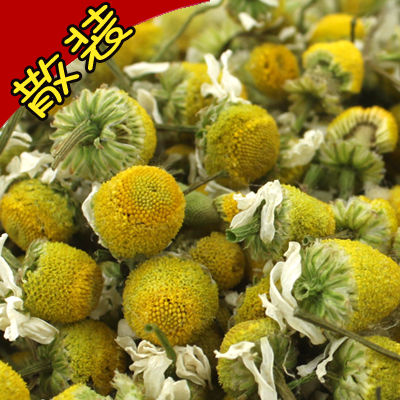 洋甘菊