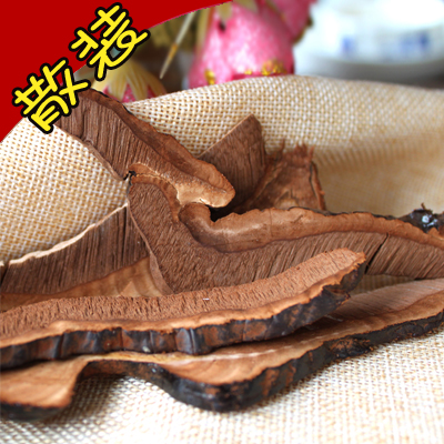 赤靈芝