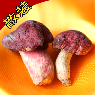 紅菇