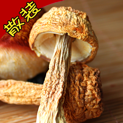 姬松茸