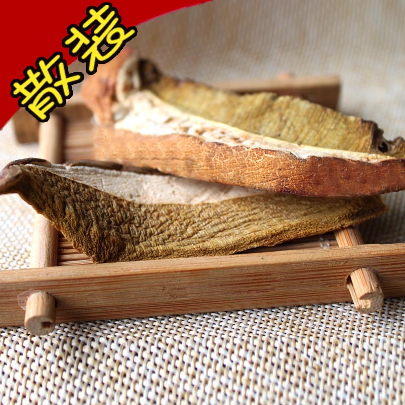 牛肝菌