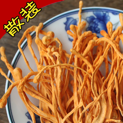 北蟲草