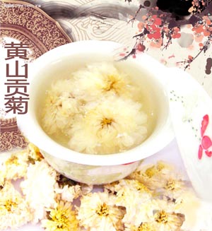 黃山貢菊