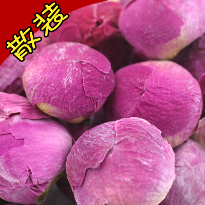 牡丹花蕾