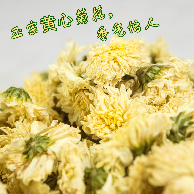 七月菊花